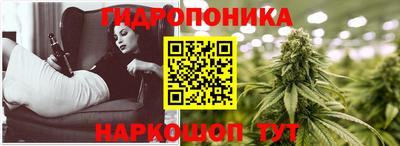 прущие крисы Ставрополь