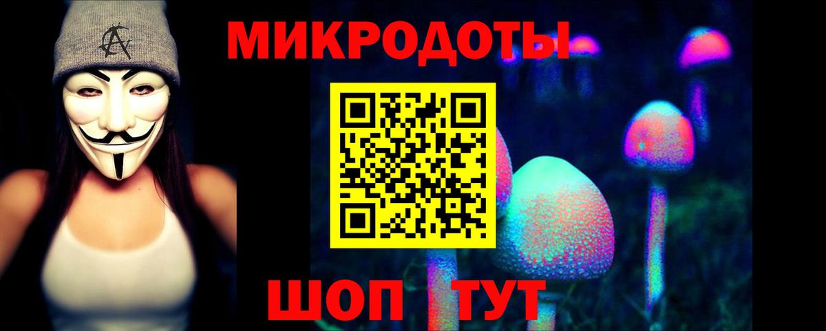 Галлюциногенные грибы Magic Shrooms Москва